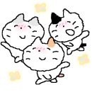 화목칼국수 서포항점