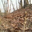 편안농장 이미지