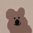 쿼카 네이버블로그
