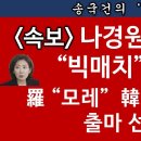 [송국건TV] 한동훈-나경원 캠프 꾸렸다! 승부처는 “尹과 관계 설정” 이미지