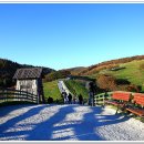 황금빛 목장 이미지