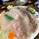 진평종합회수산시장 | 가락시장 수산시장 다해수산, 모듬회 특대&amp;새조개 샤브샤브 횟집 후기 주차