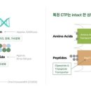 뉴트리 데일리안