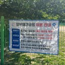 삼막5 | 강아지랑 놀기 좋은 자연 속 운동장, 안양 삼막 애견공원 후기
