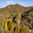 별바라기 캠핑 펜션 이미지