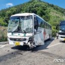 홍천 수학여행 버스…"뒷자리 위험해" 비워두고 전원 안전벨트 이미지