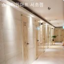 스테이인아트 이미지