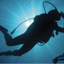 그린필치과의원 이미지