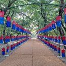 자인백반 이미지