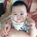 댕이맘마 이미지