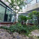 월령채 이미지