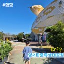 함평양서파충류생태공원 | 아이와 함께 함평 양서·파충류 생태공원에서 재미있는 관찰놀이