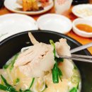 오리와돼지 이미지