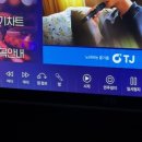 코인쏭 코인노래연습장 이미지