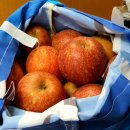 홍은농장 이미지