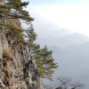 산바라기마을 이미지