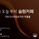 카페해요 이미지