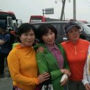 천수만회타운 이미지