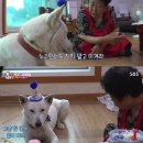 사계절 닭집 가든 | 2024.11