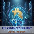 빅코인 | 비트코인 급락!! 소심하게 분할매수했더니... 앞으로 대응전략. 마이클버리는 누구?