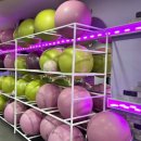 드림 스포츠타운 | |부산 아더필라테스&amp;플라잉요가 당감점| 당감동플라잉요가 체험 후기