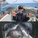 순천대물낚시 이미지