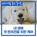 조이플마인드케어