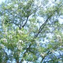 모래벌농장 이미지