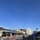 묵호항 자연산 수산물 판매시장 이미지