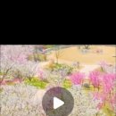 하늘그루 이미지