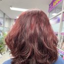 송담9길 이미지