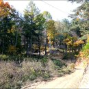 솔안농장 이미지