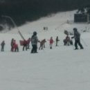 대마초등학교 이미지