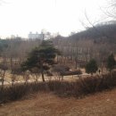 주말공원 이미지