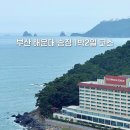 로이드밤오션시티점 | 부산 해운대 송정 1박2일 여행코스 | 맛집부터 오션뷰 카페까지 알차게