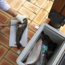 외연도6 이미지