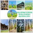 보령센터-002 | 화순적벽투어 &amp; 무등산 편백숲 화순 전남가볼만한곳 with 여행자클럽
