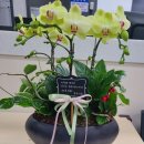 서소문파출소 이미지