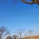 서우1급자동차공업사 이미지