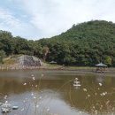 구암동265 이미지