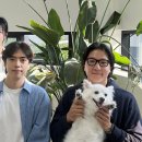 플랜비 이미지
