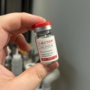 스키노바 | 이대웨딩케어 더숲에스테틱 찐후기! 이대역피부관리 스킨부스터 물광케어 변화