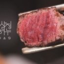 카폐하누 이미지