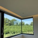 스테이더크로스 이미지