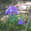 산골쉼터 이미지