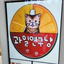 과일연구냥 이미지