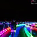 아라마루 이미지