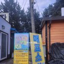 팔리봉캠핑장 | 태안 몽산포 해변 해루질 준비물리스트 갯벌 체험 오션캠핑장 후기