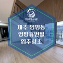 영평조록나무 | 제주 입주청소 영평동 영평 휴먼빌 복층 완료