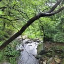 국립유명산자연휴양림 이미지